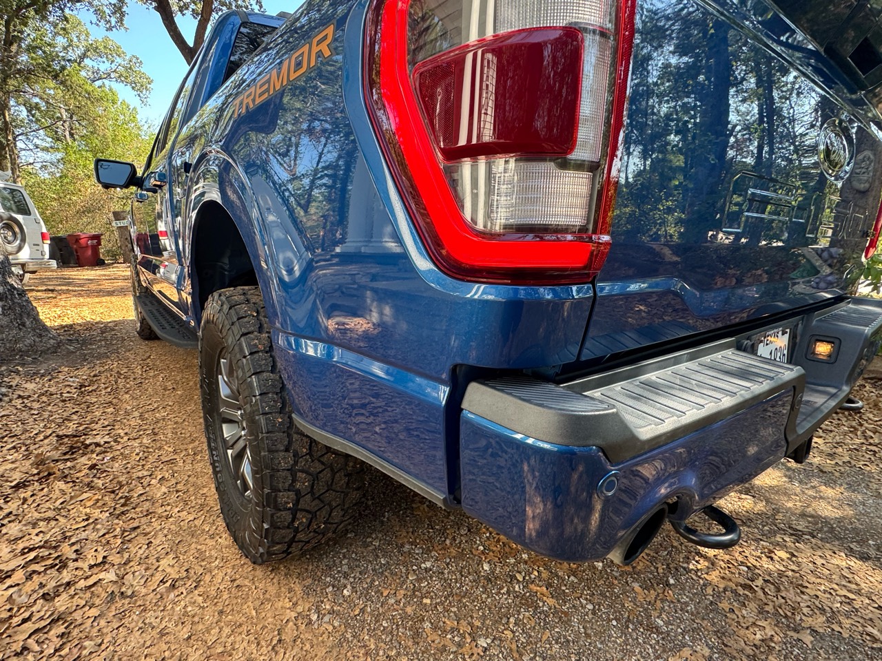 After detailing: rear quarter panel and bumper of a blue Ford F-150 Tremor