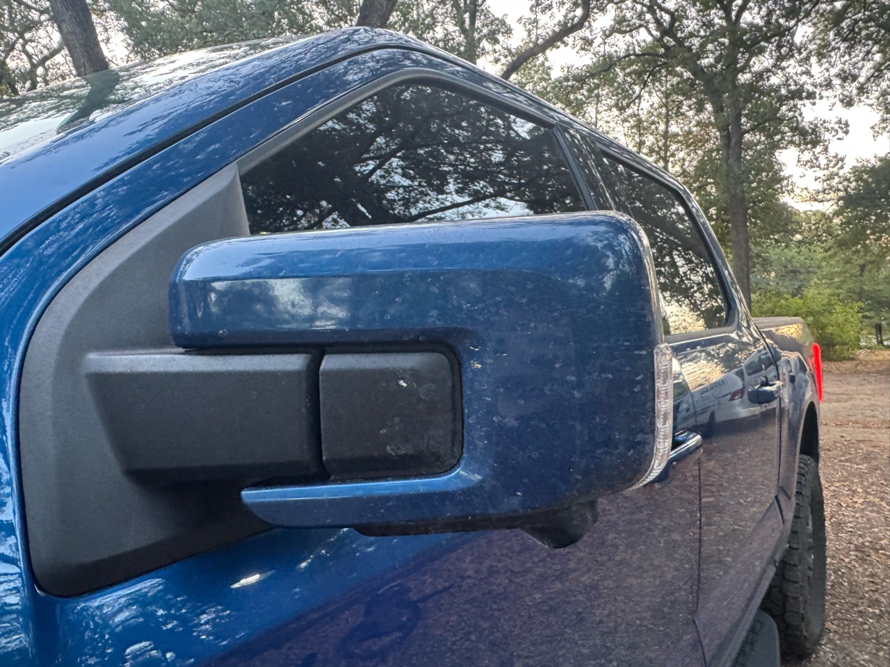 Before detailing: driver-side mirror and exterior trim of a blue Ford F-150 Tremor