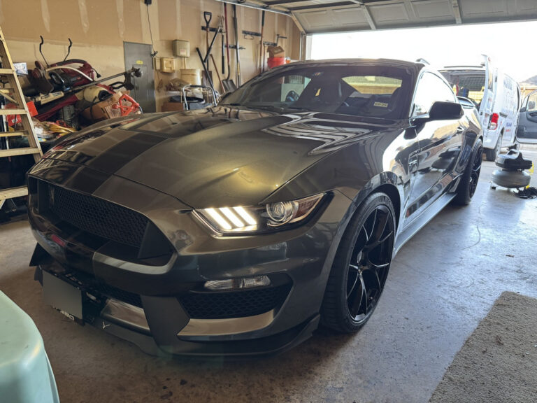 Ford Mustang Shelby exterior after detailing